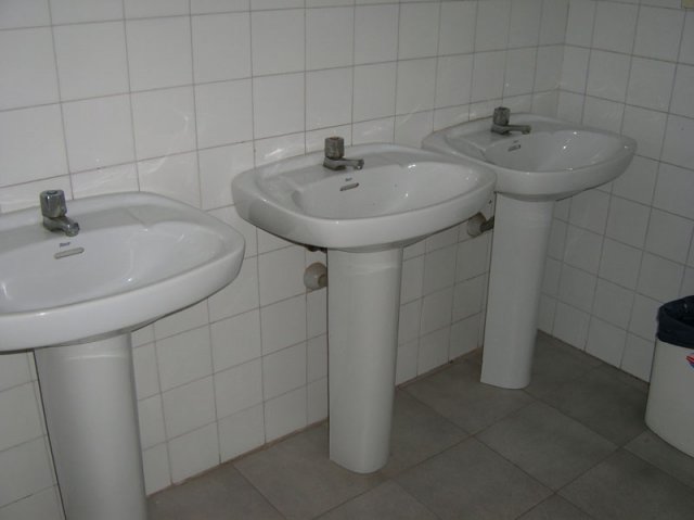 aseocabpatiotraserofucares1